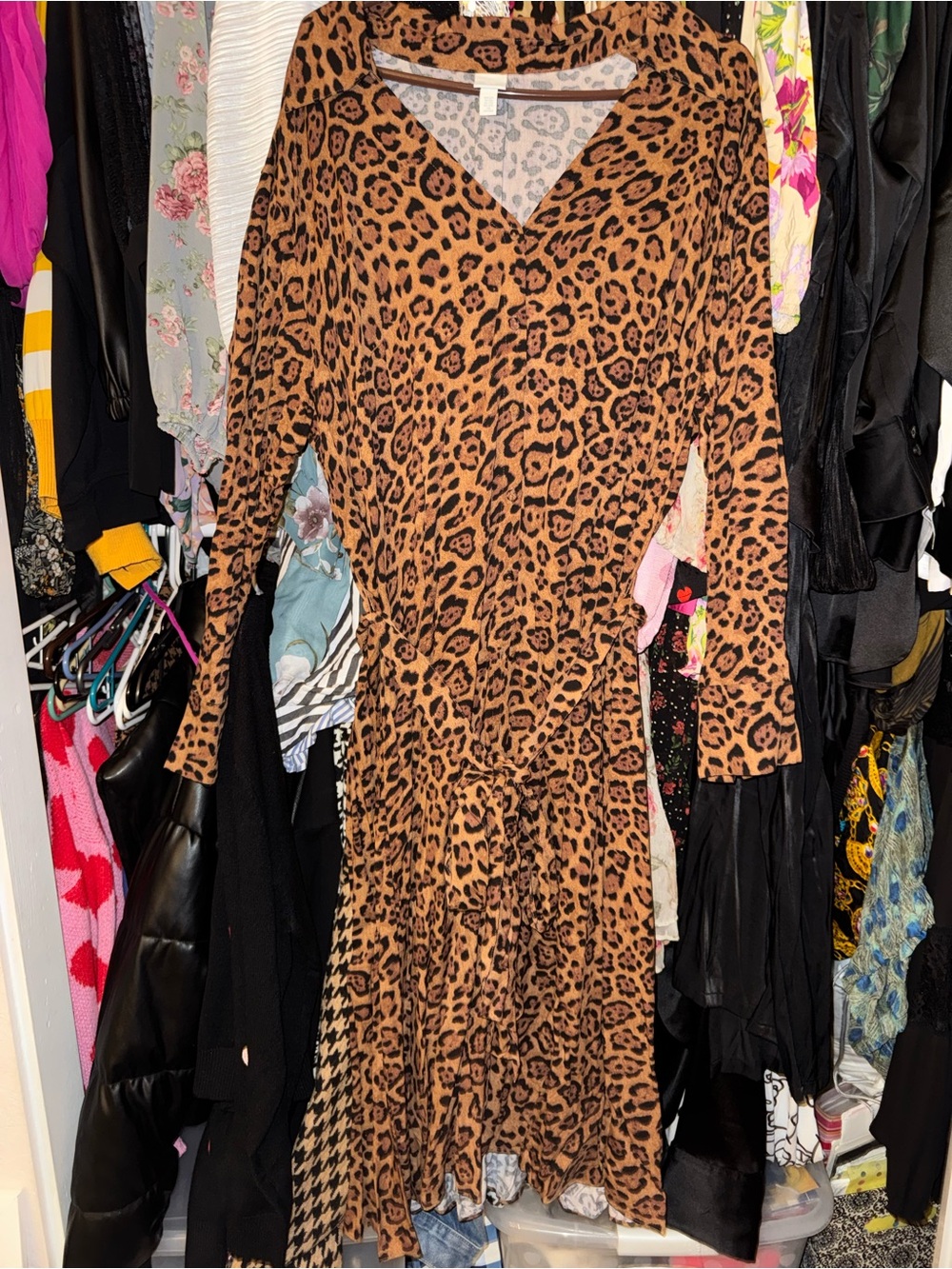 H&M Brown Leopard Print V-Neck Long Sleeve Wrap Dress